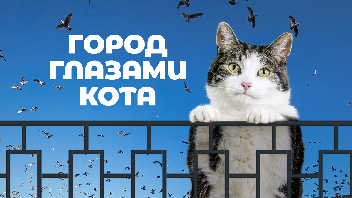 6 летних добрых фильмов для всей семьи, которые вы наверняка не ...