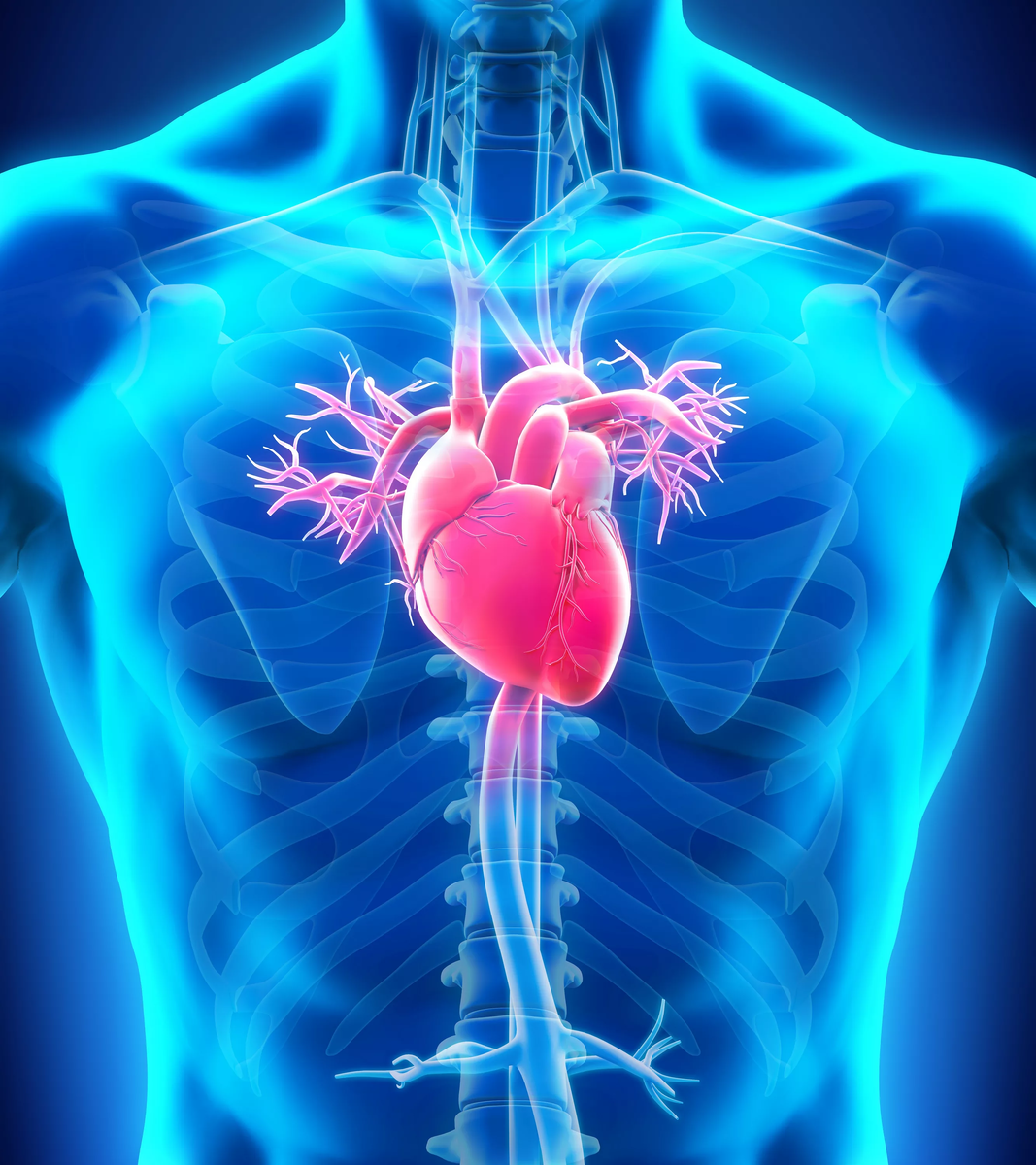 Микроваскулярная стенокардия: боль в груди, которая может привести к  инфаркту | Медицинский центр Е.В. Малышевой | Дзен
