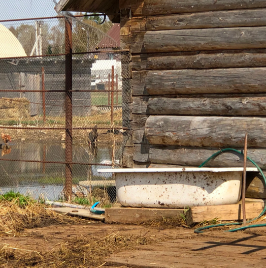 Анар пробовал снимать квартиру в Калуге – не пошло, вернулся в деревню.