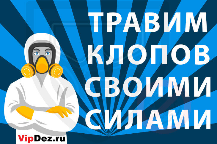 Травим постельных клопов своими силами!