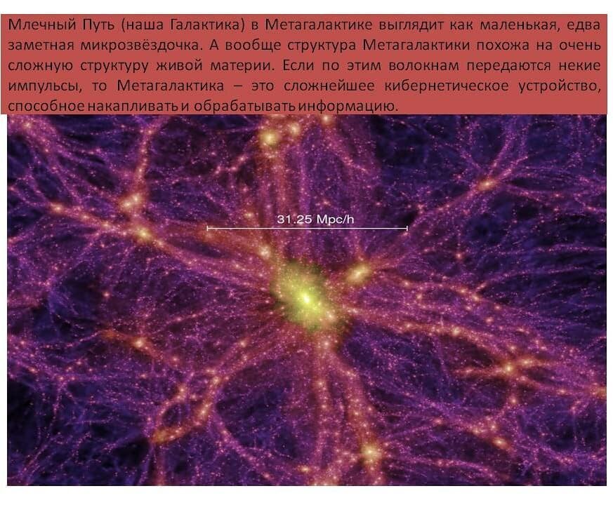 Картинка из интернета в свободном доступе (при обращении, автор будет указан).