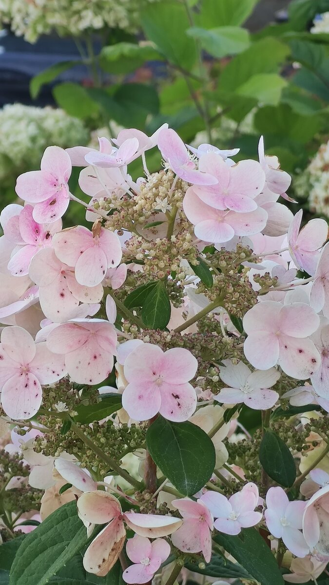 Екатеринбург  август, 2022