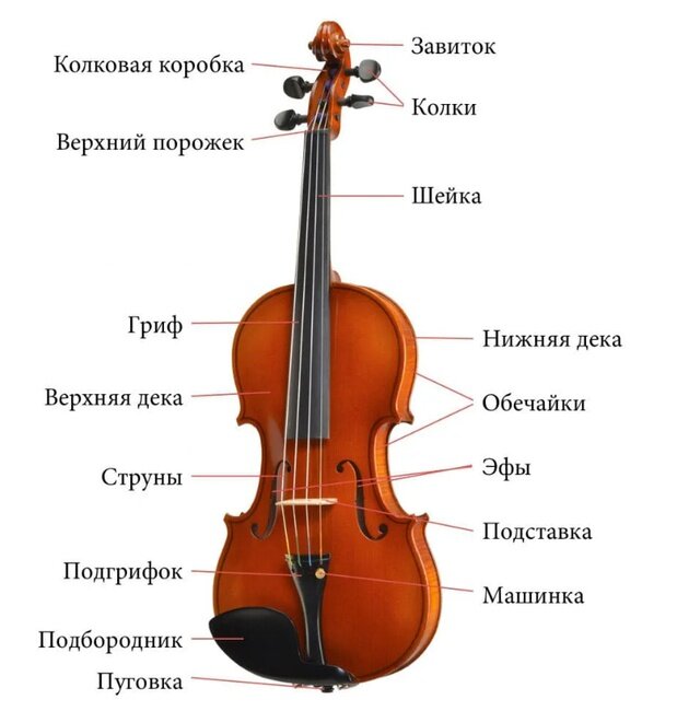 Источник Яндекс Картинки