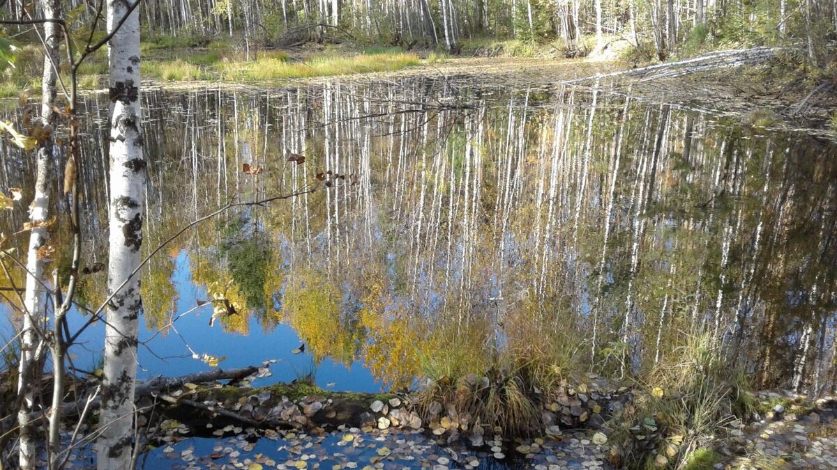 Фото из моего архива.