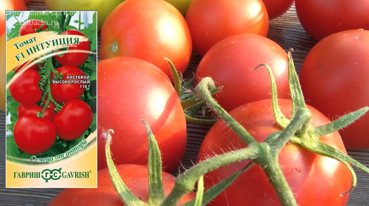 Сегодня мы разберём сорта и гибриды высокорослых томатов, которые высаживали в этом году.-14