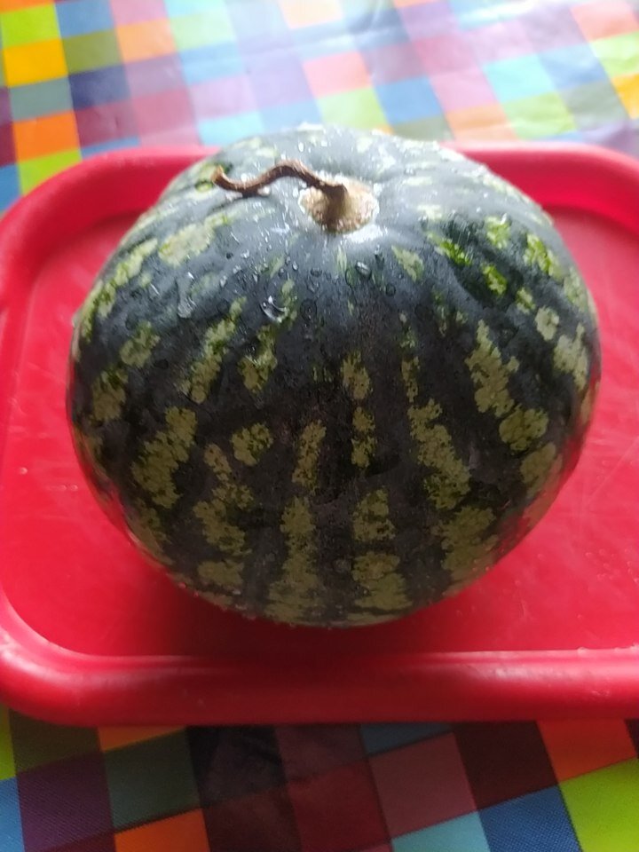 Наш арбузик.