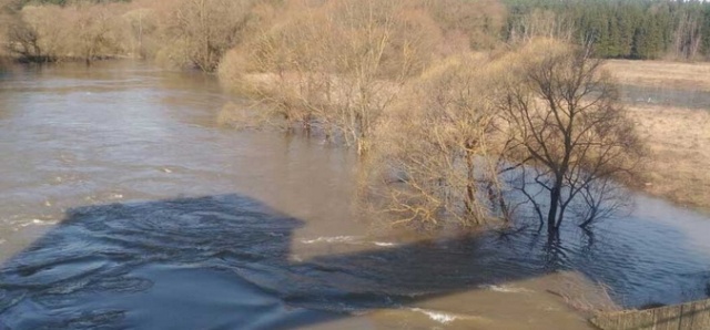    Паводок Admobninsk.ru