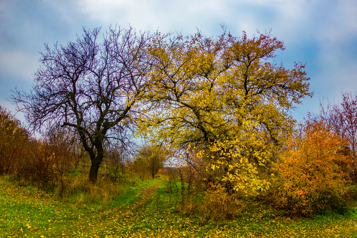 Фото автора