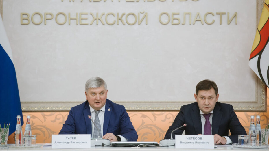   Автор фото: пресс-центр правительства Воронежской области