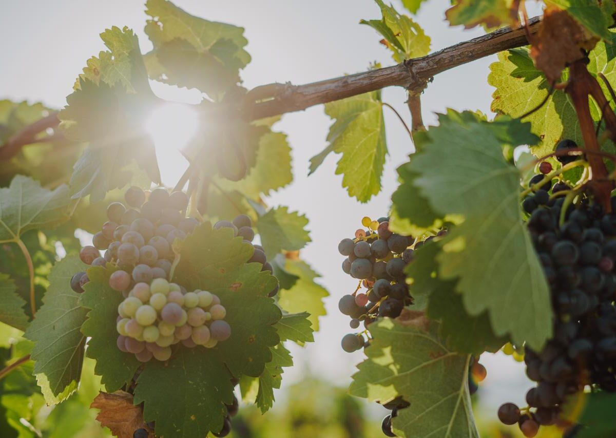 Фото из личного архива Михаила Верялина