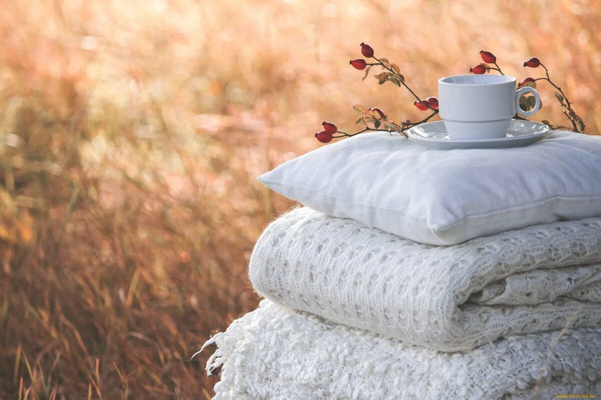 коллекция Яндекс