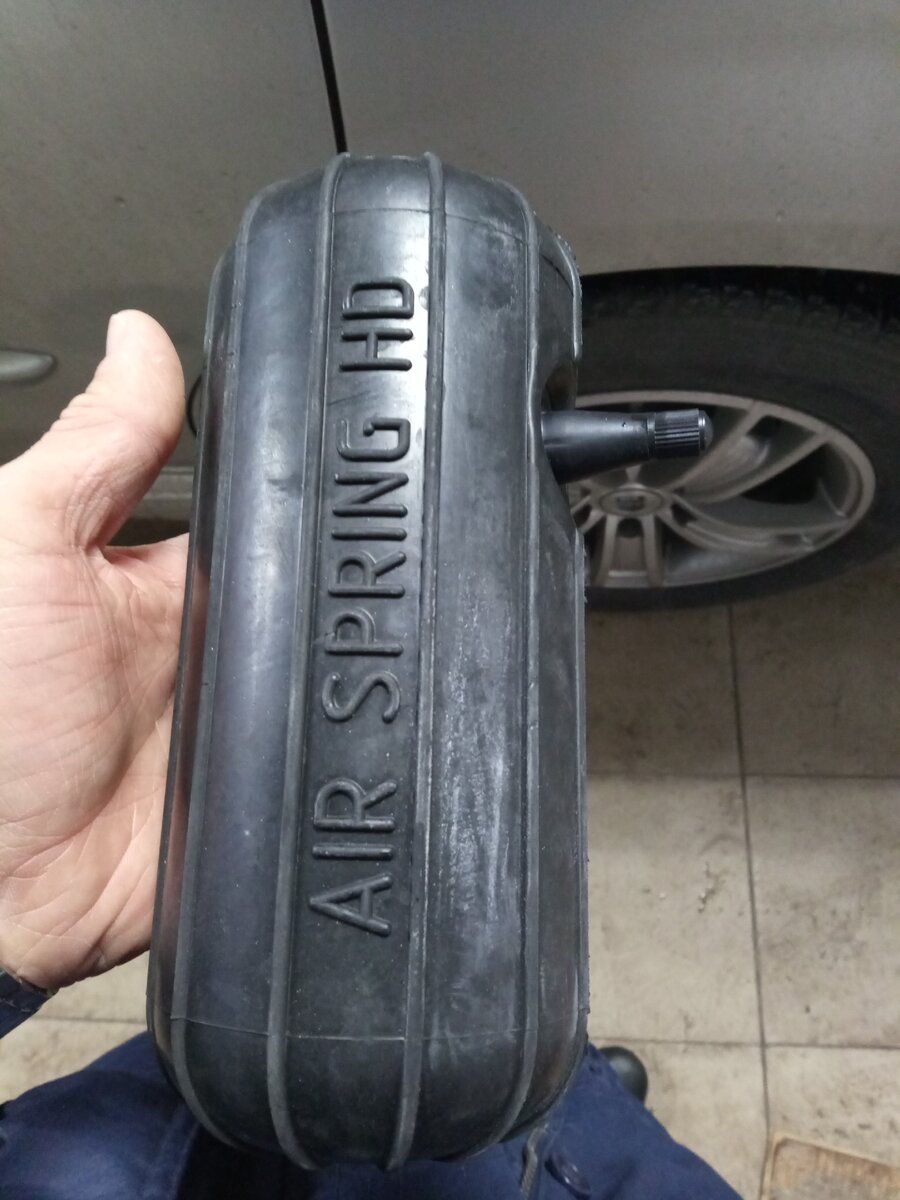 Вот он, красавец!