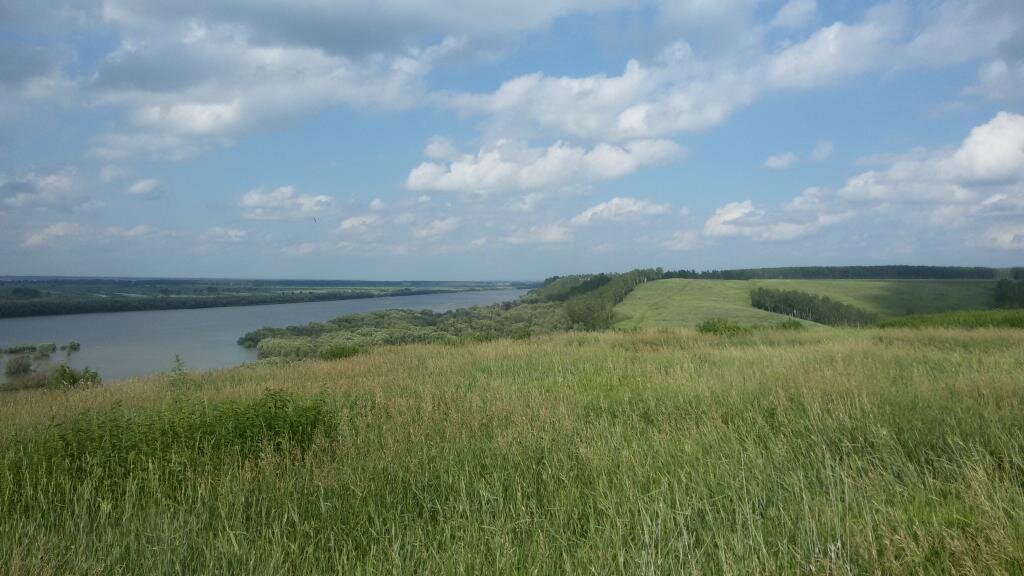 Соловецкое нижнеомский. Село Хортицы Нижнеомский район. Нижнеомский район рельеф. Старомалиновка Нижнеомский район Омская область. Омская область рельеф местности.