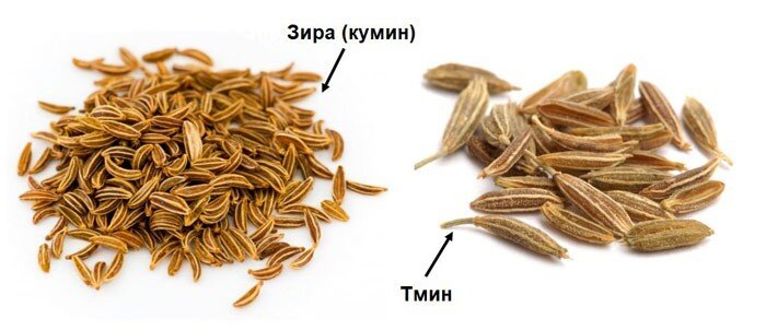 фотография из открытых источников