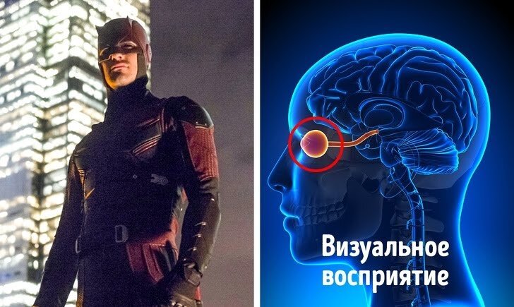 Эхолокация