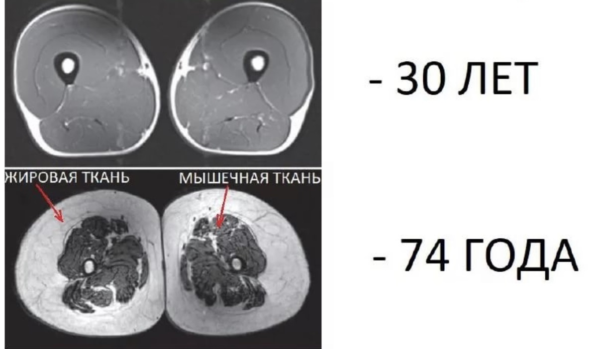 Яндекс.Картинки (с моим дополнением)