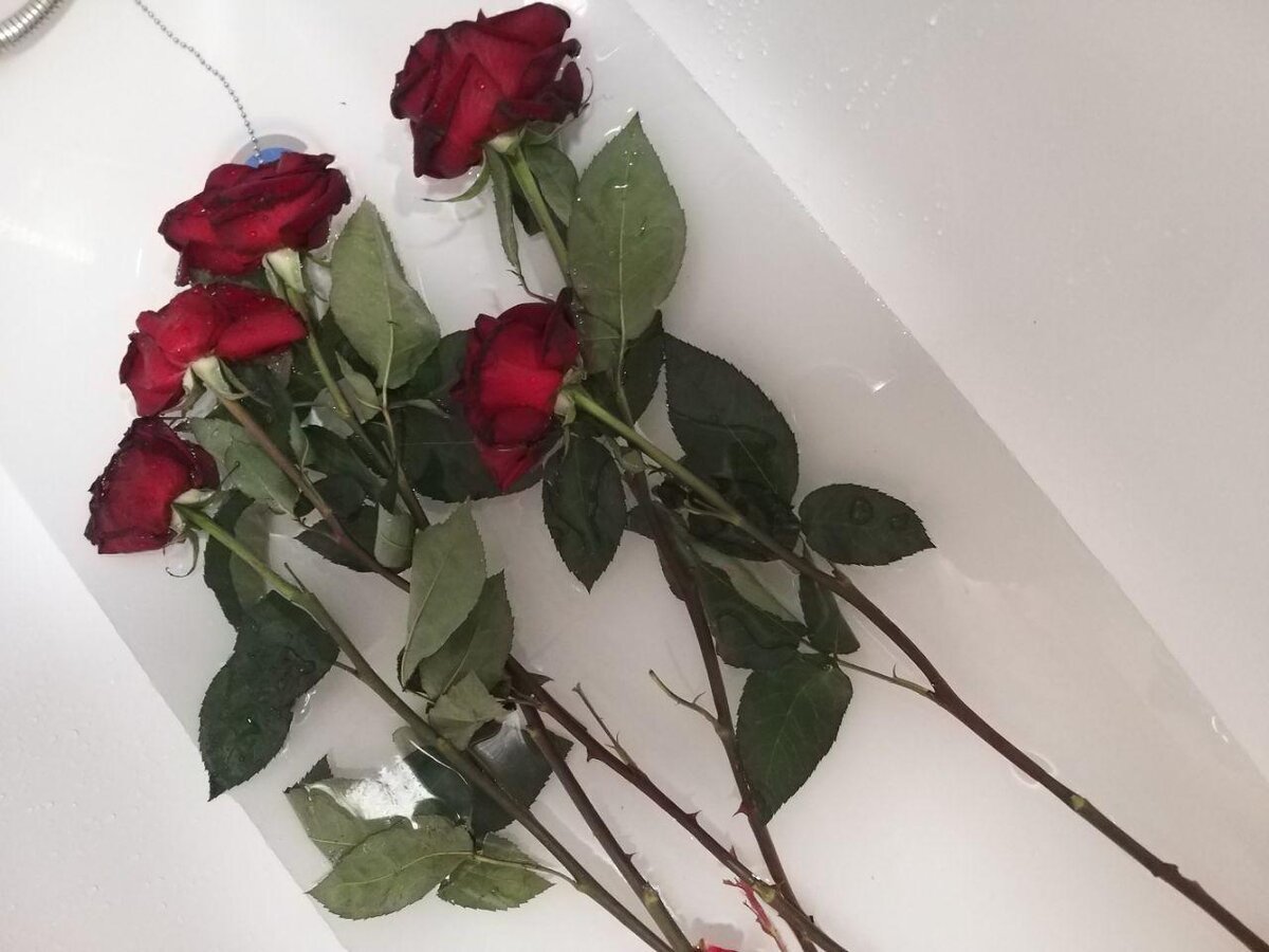 Как сохранить долго розы в вазе свежими