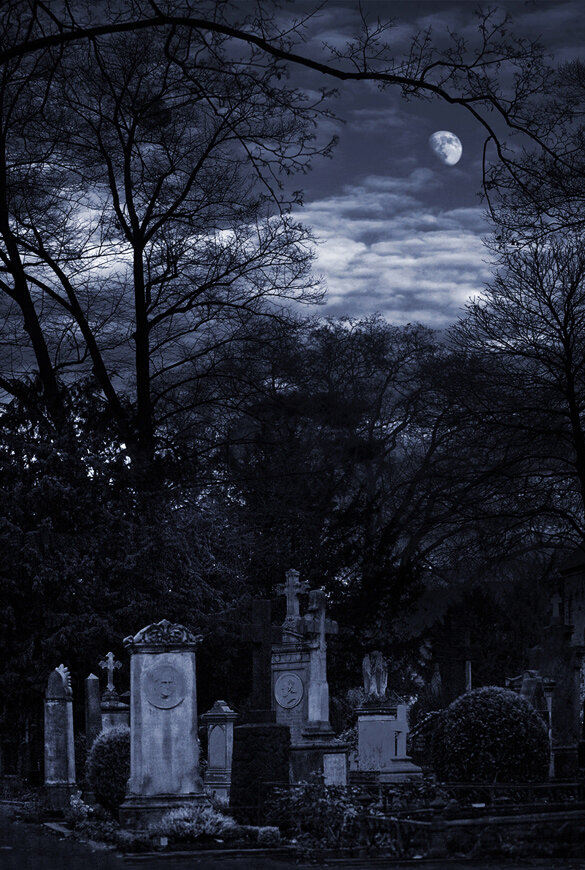 Фото взято из Яндекс Картинок 