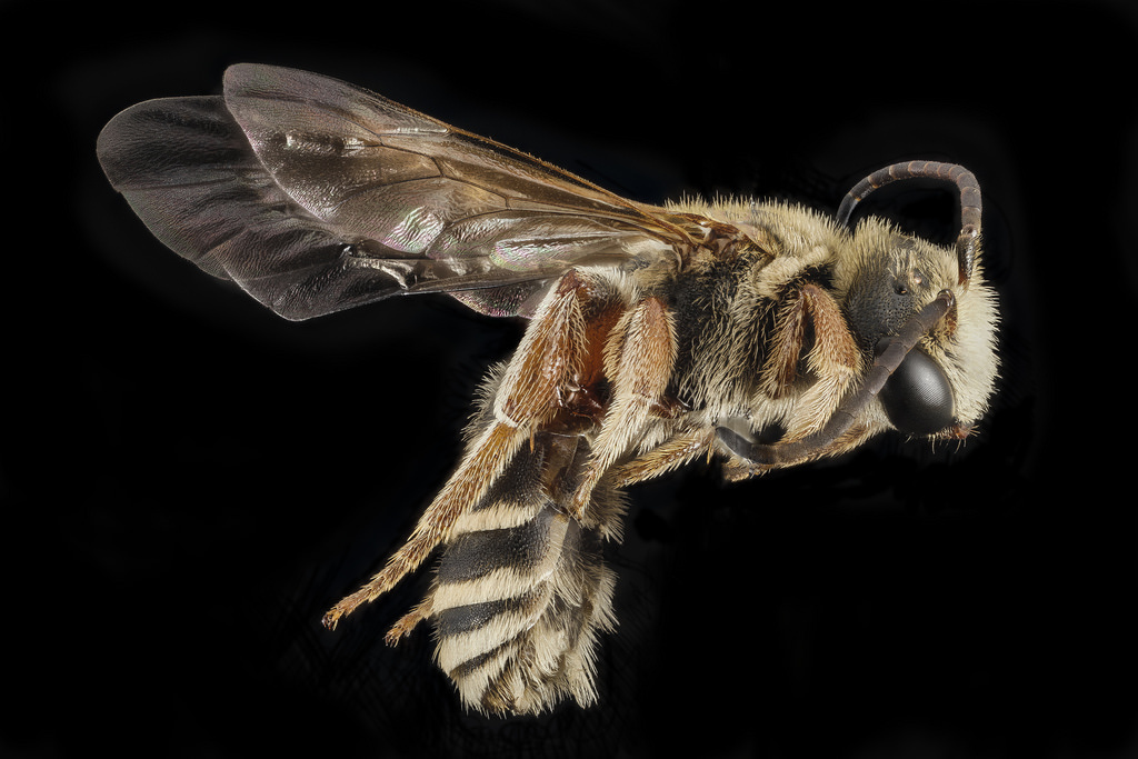 Изображение с сервиса "Яндекс.Картинки"