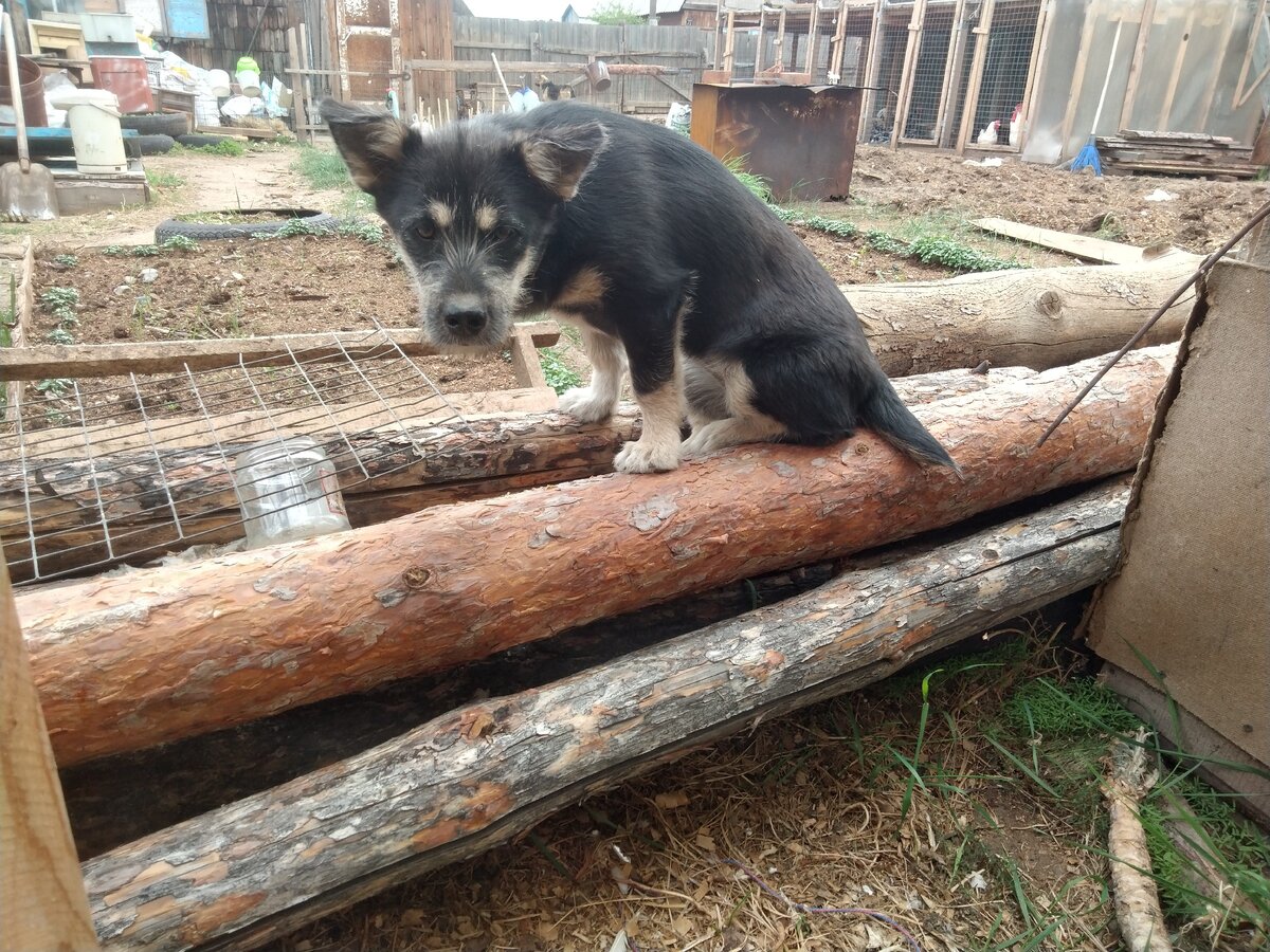 Кто это там вспышкой мигает