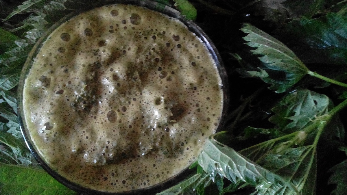 Крапивный смузи