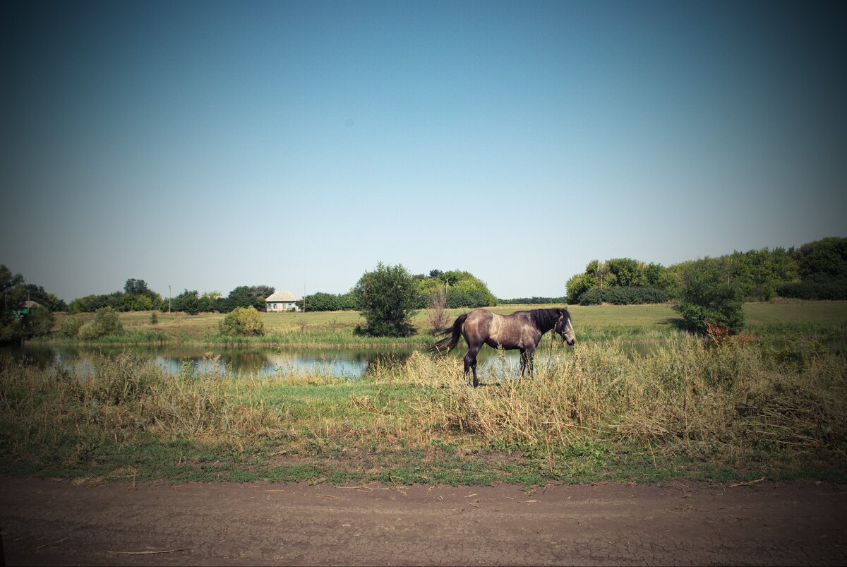 Фото из личного архива