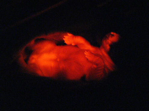 Источник: Яндекс Картинки