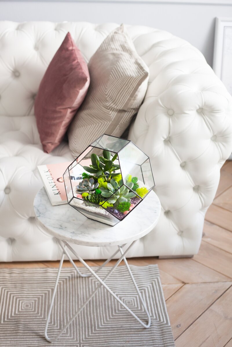 флорариум Fitomir decor