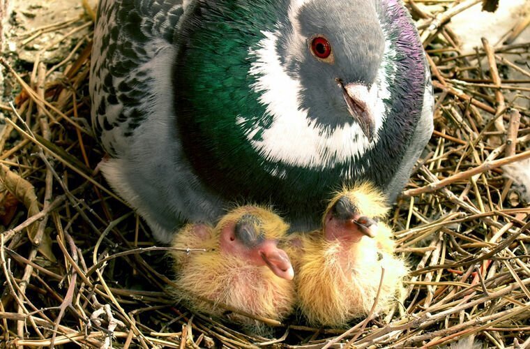 Источник фото: m.fishki.net 