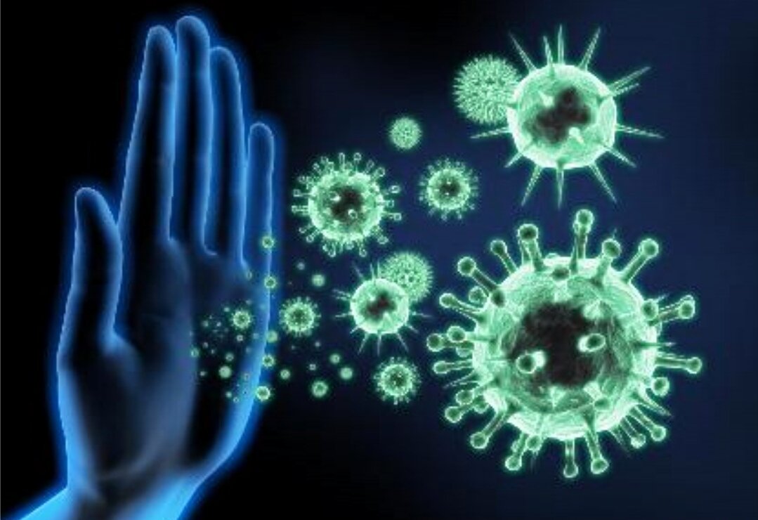 Как улучшить работу имунной системы