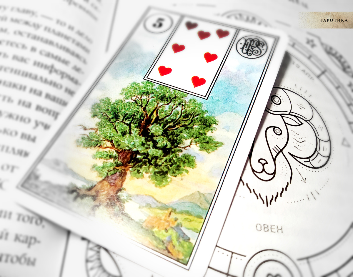 Всегда уникальные фото и настоящая магия!