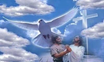 Фото из Яндекс картинки 