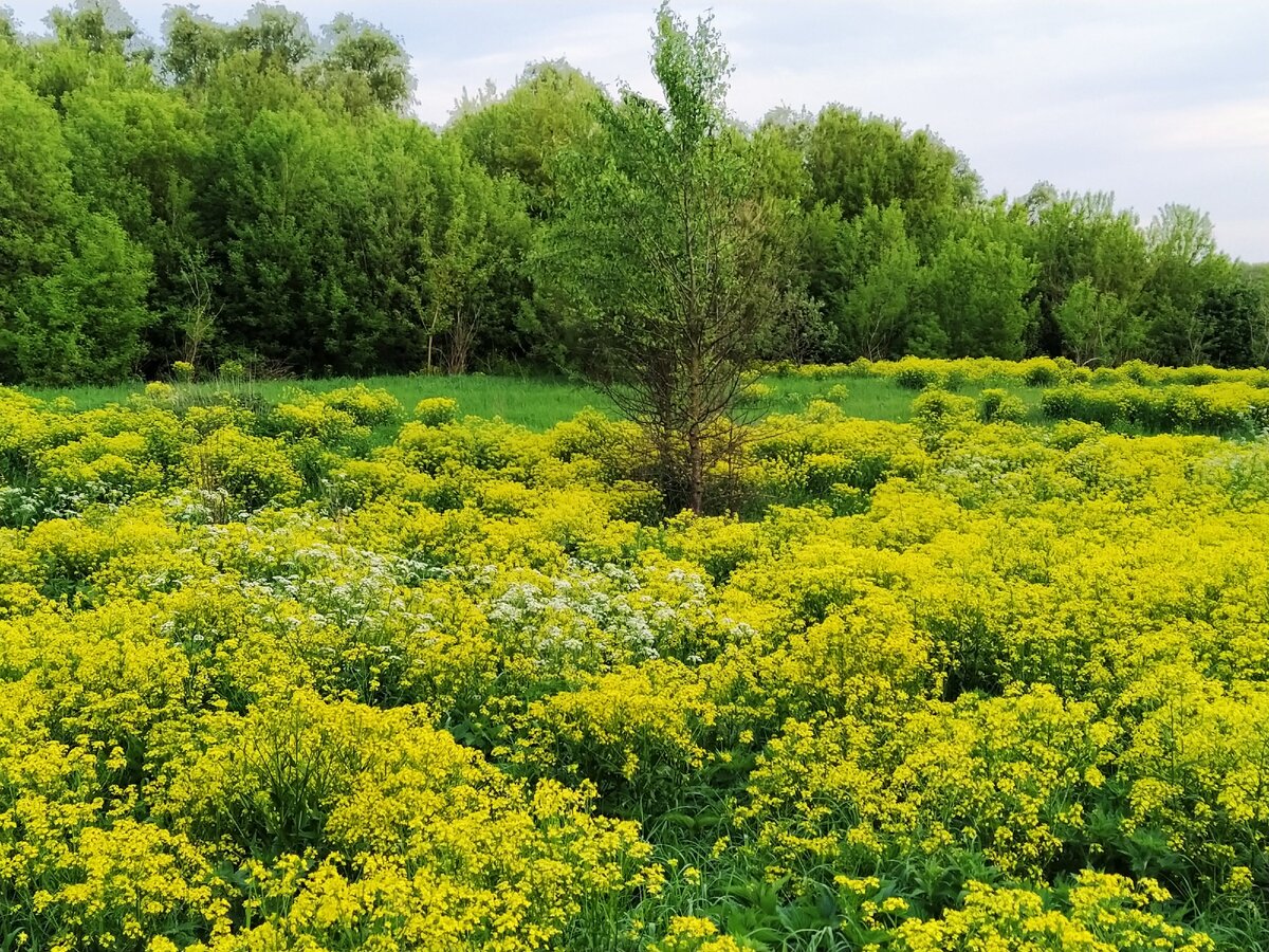 Просто смотреть на такую красоту - уже счастье