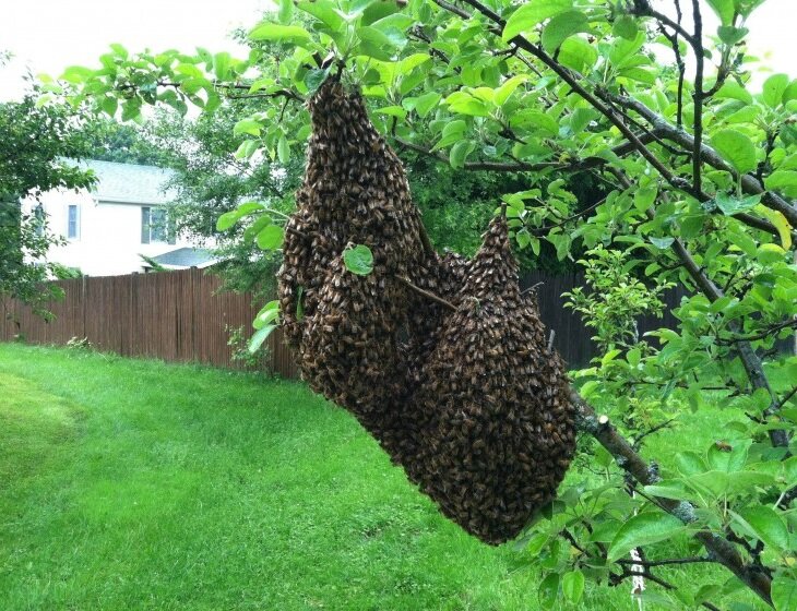 Фото взято из интернета, так как свое - сделать не успел. Да и не до фотографирования было. 