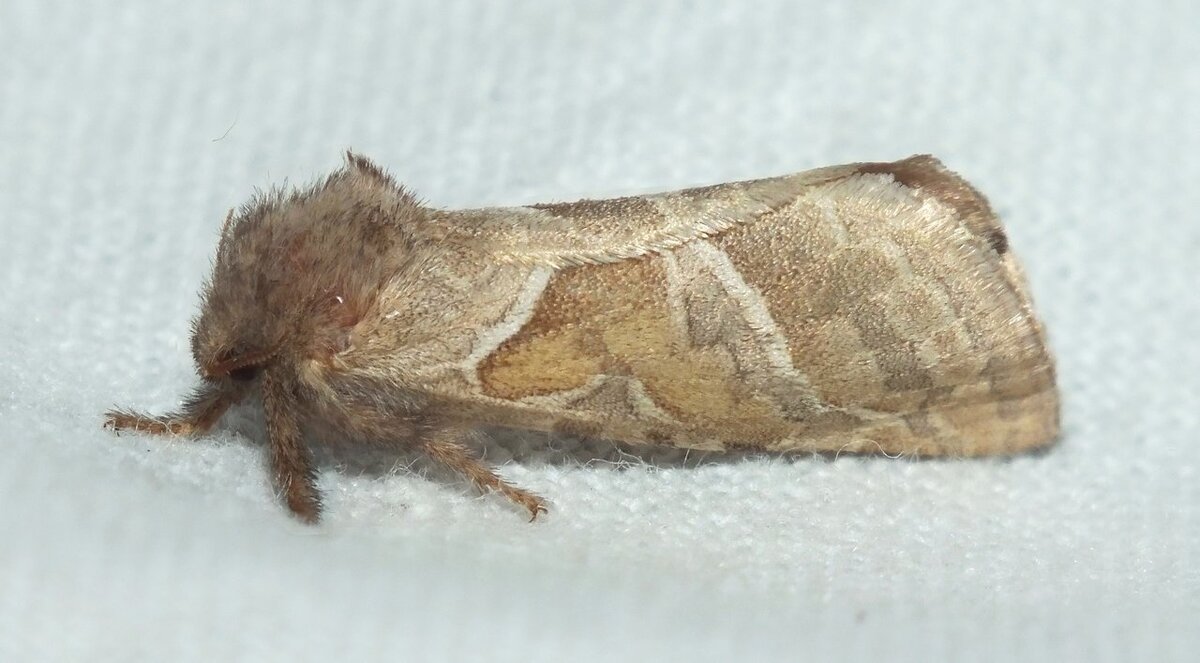 Снимок из личного фотоархива