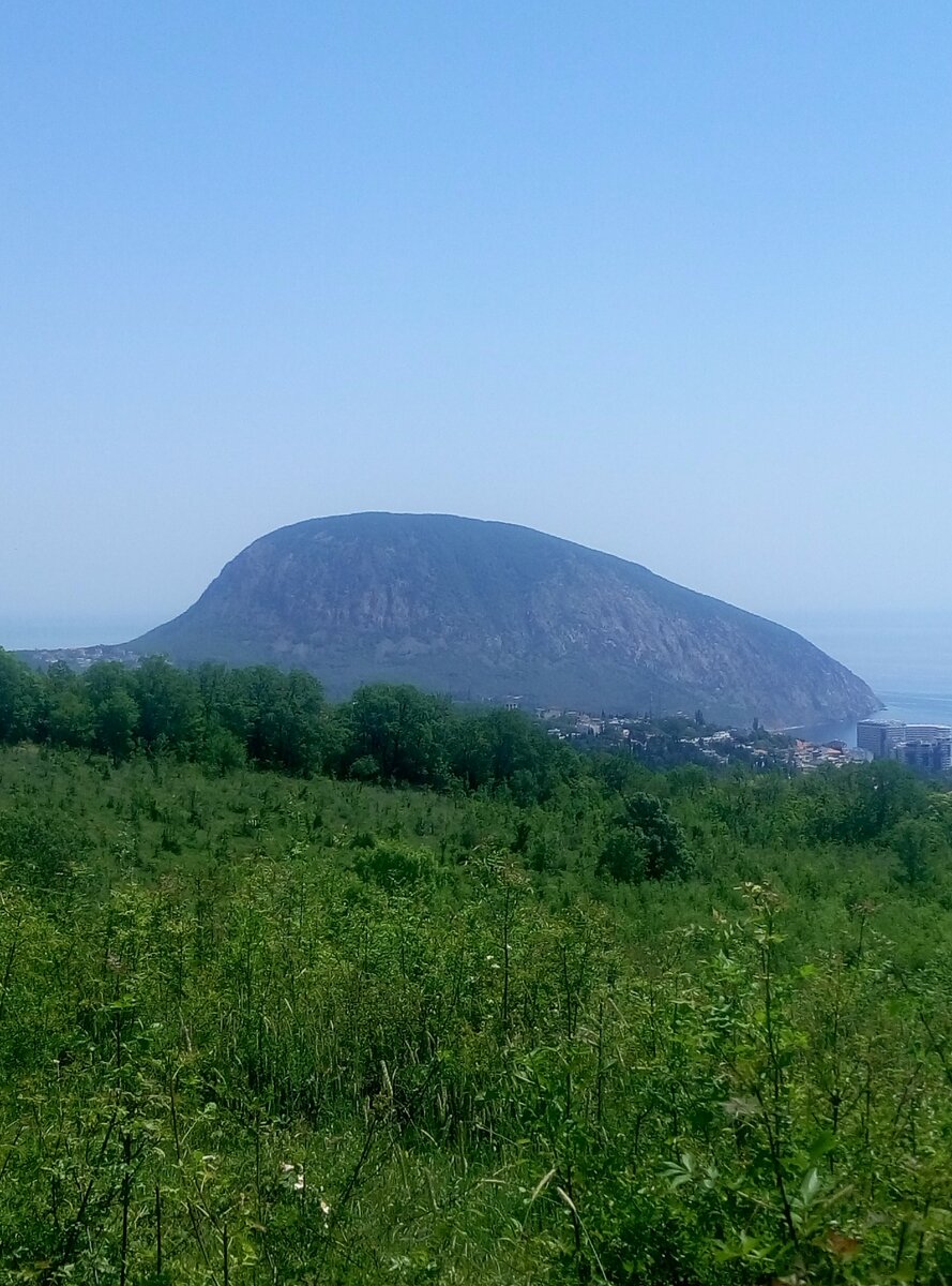 В полях, под небом голубым