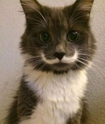 фото из свободных источников