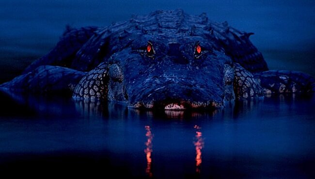 Вот он красавец ;)