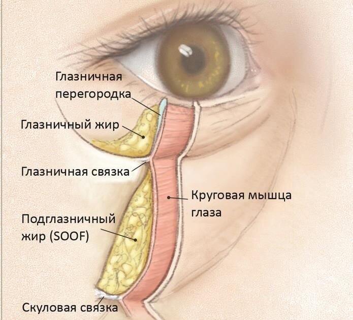 Синдром сухого глаза