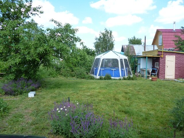 Наш дачный бассейн.