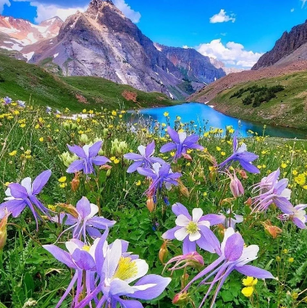 https://yandex.ru/collections/card/5b2cf02b7222146c60bb0788/