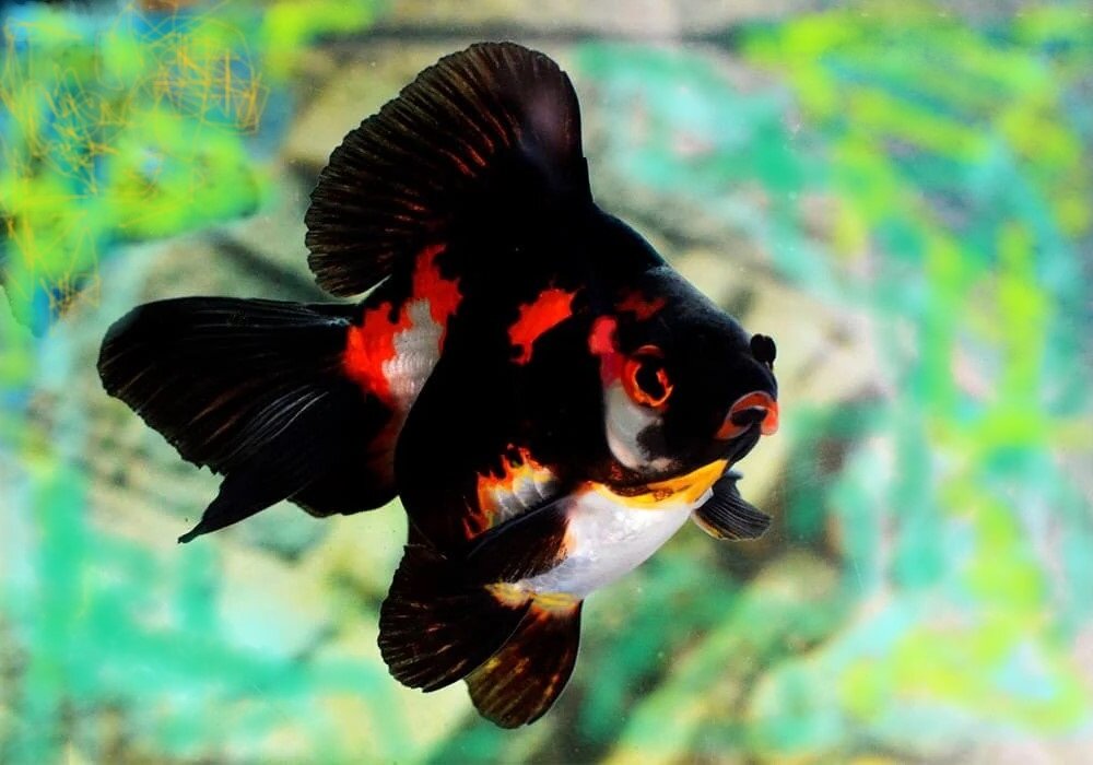 Фото из личного архива.