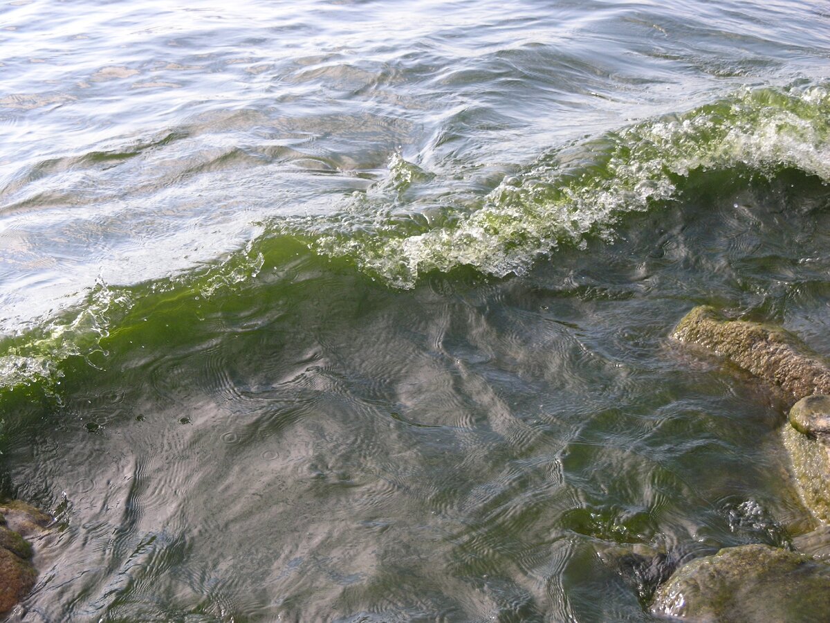 вот такое самое чистое озеро