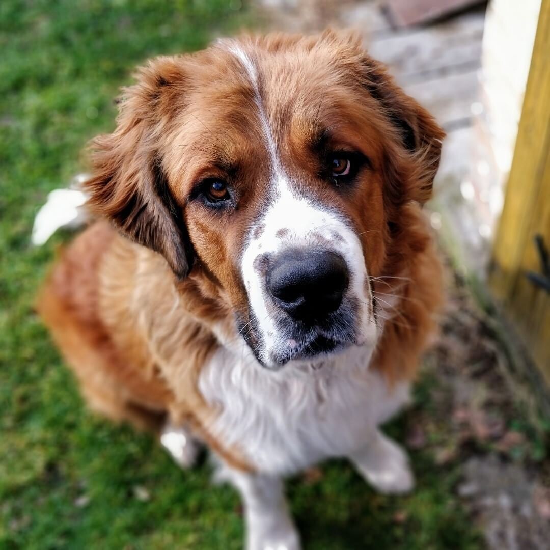 Фото взято из сети 