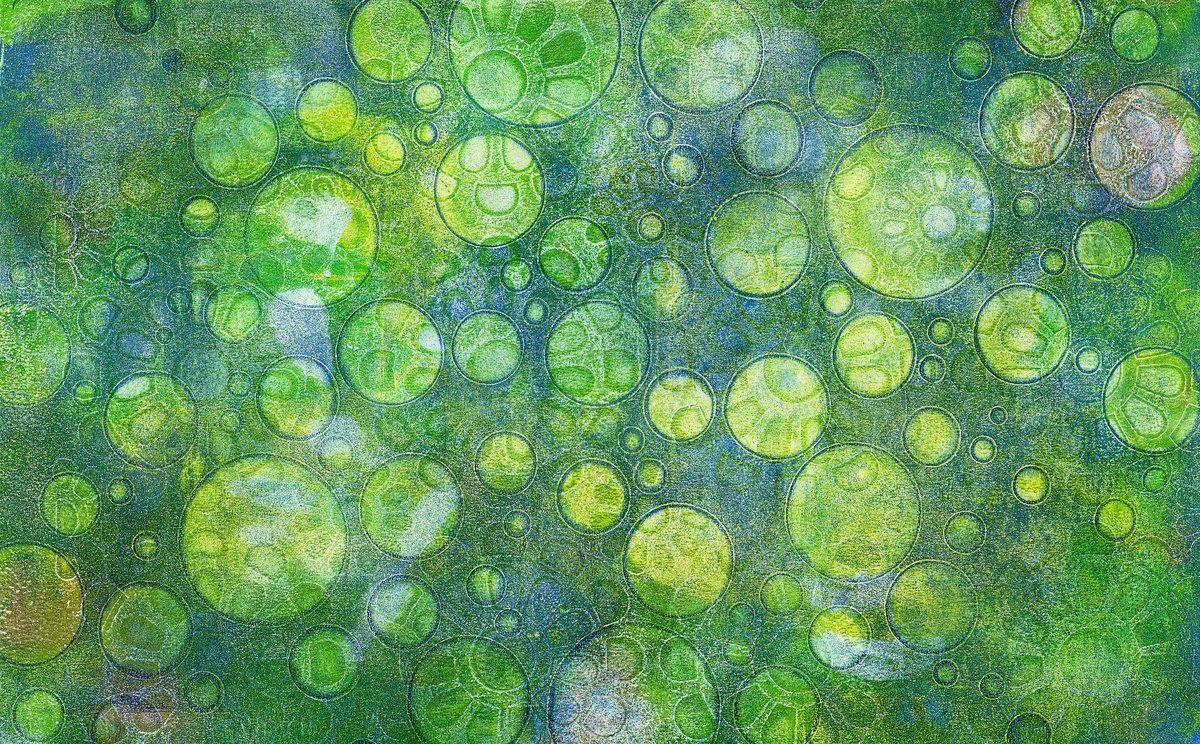 Изображение с сайта pixabay.com