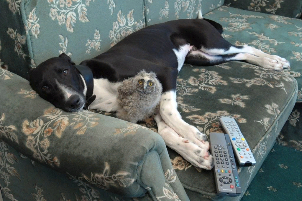 Фото из открытых источников Яндекс. Картинки 