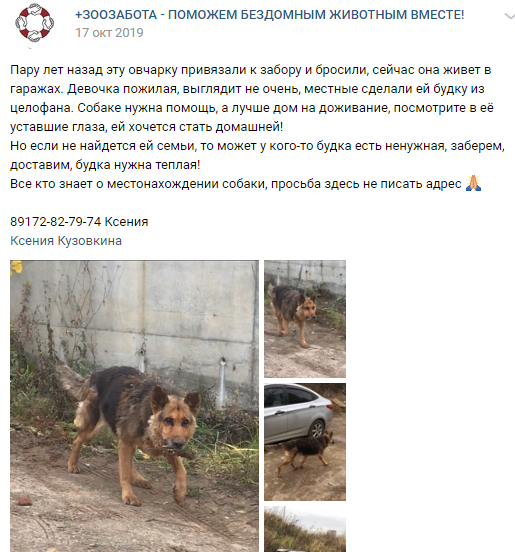 Пост о Джесси