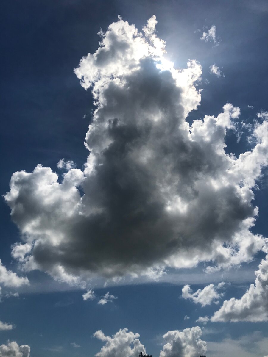 да, мы сегодня опять весь день на озере, а потом они ещё пошли гулять. Взяли 100 рублей, ушли толпой за мороженым. И мне думается - да что ж за дети-то такие, да что ж за родители, ПОЧЕМУ они не загоняют их уже домой, ну хватит пожалуйста, домой же уже пора!!! Вот такой матрас наоборот...