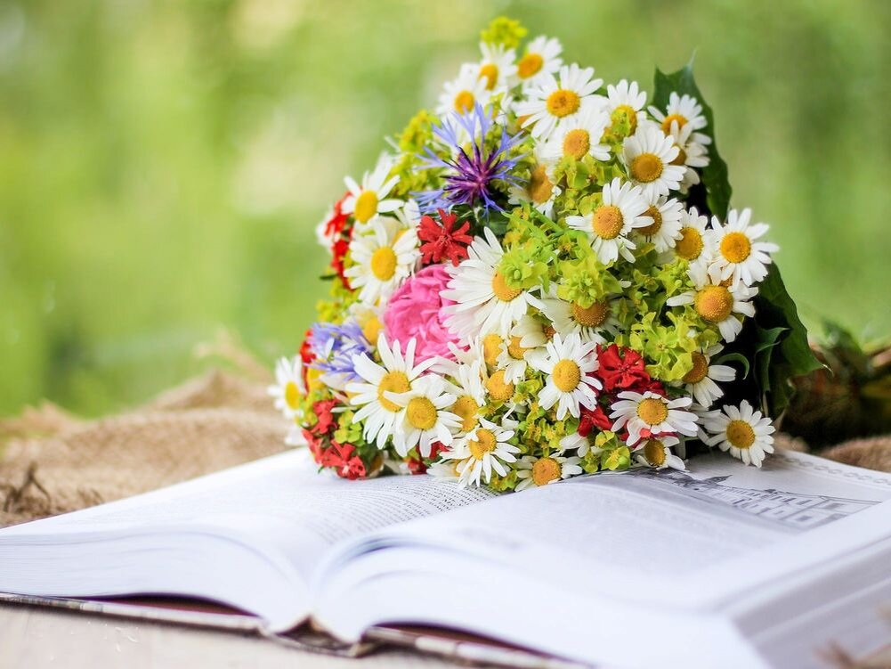 Фотография взята с сайта wallpapers.99px.ru.