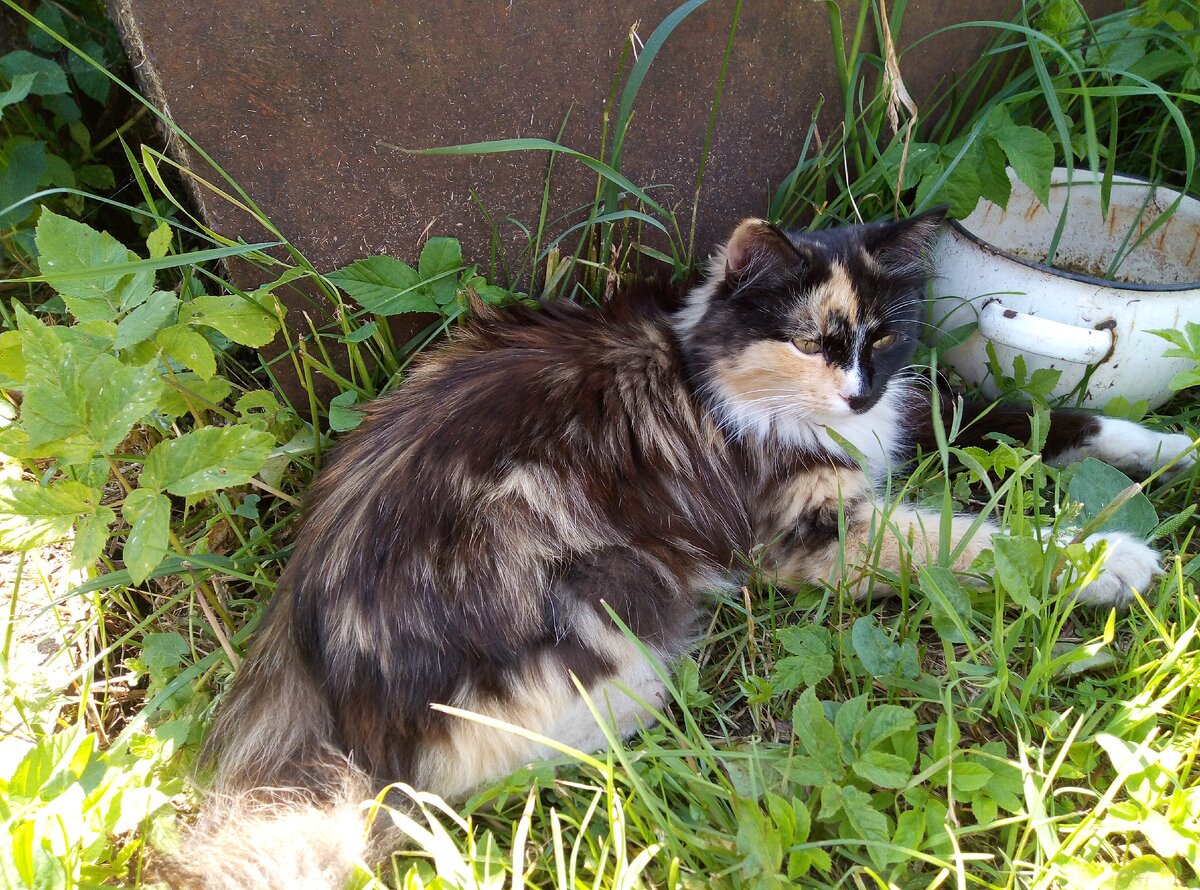 фото автора